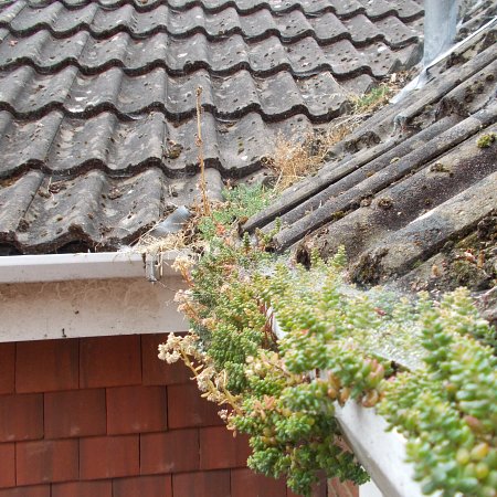 Gutter clearing